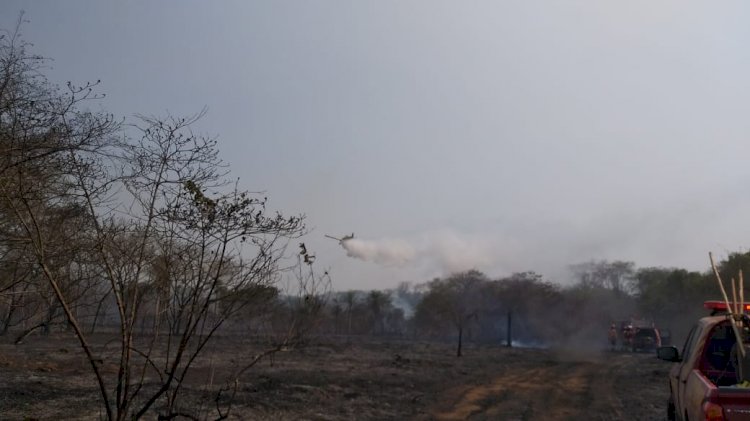 REPORTAGEM DO LR ON LINE CONVERSA COM BOMBEIRO LEBONREGENSE QUE ESTÁ ATUANDO NO COMBATE AS CHAMAS NO PANTANAL