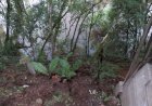 HOMEM É ENCONTRADO MORTO NO RIO CASTELHANO EM CAÇADOR