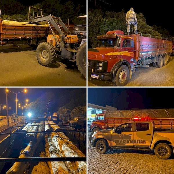 POLÍCIA AMBIENTAL PRENDE CAMINHÃO GRANELEIRO CARREGADO COM TORAS DE ARAUCÁRIA EM LEBON RÉGIS