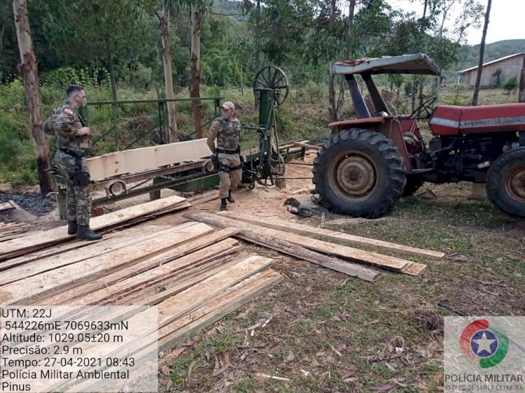 POLÍCIA AMBIENTAL FLAGRA SERRARIAS CLANDESTINAS EM SANTA CECÍLIA E CANOINHAS