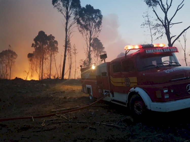 BOMBEIROS DE LEBON RÉGIS COMBATEM INCÊNDIO EM VEGETAÇÃO POR SEIS HORAS