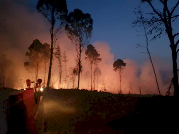 BOMBEIROS DE LEBON RÉGIS COMBATEM INCÊNDIO EM VEGETAÇÃO POR SEIS HORAS