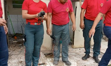 BOMBEIROS DE LEBON RÉGIS, SALVAM CACHORRINHO QUE CAIU NO RALO