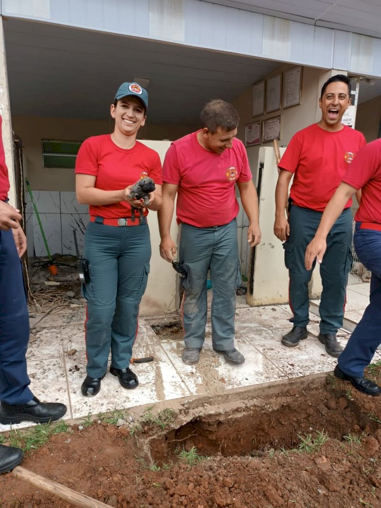 BOMBEIROS DE LEBON RÉGIS, SALVAM CACHORRINHO QUE CAIU NO RALO