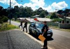 POLÍCIA DE SANTA CECÍLIA APREENDE OITO ARMAS E MAIS DE TREZENTAS MUNIÇÕES