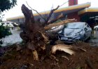 VENDAVAL DE 110 KM/H ATINGE CAMPOS NOVOS
