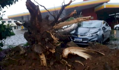 VENDAVAL DE 110 KM/H ATINGE CAMPOS NOVOS