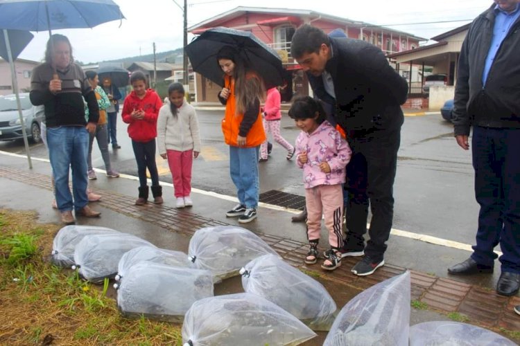 PREFEITURA DE LEBON RÉGIS REPOVOA O RIO TROMBUDO