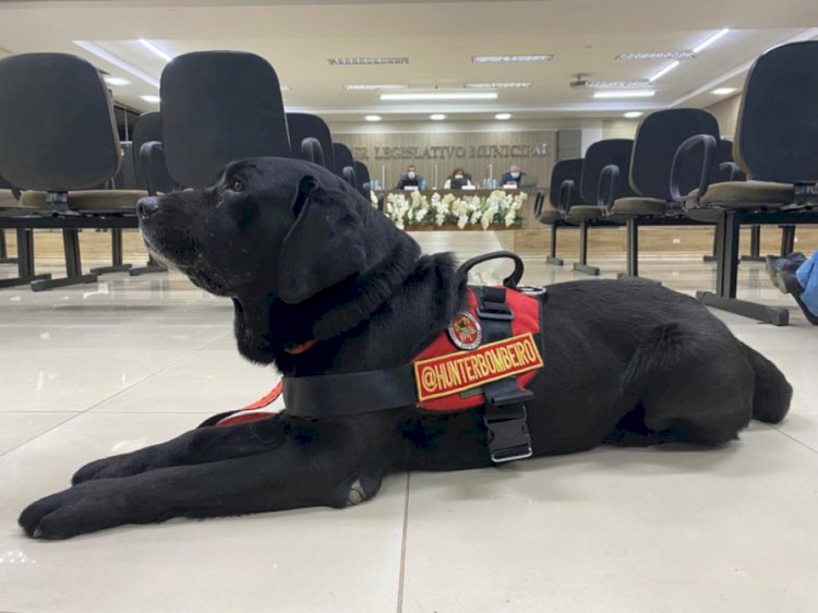 HOMEM É ENCONTRADO MORTO EM CÓRREGO; CORPO FOI LOCALIZADO POR CÃO DO BOMBEIRO