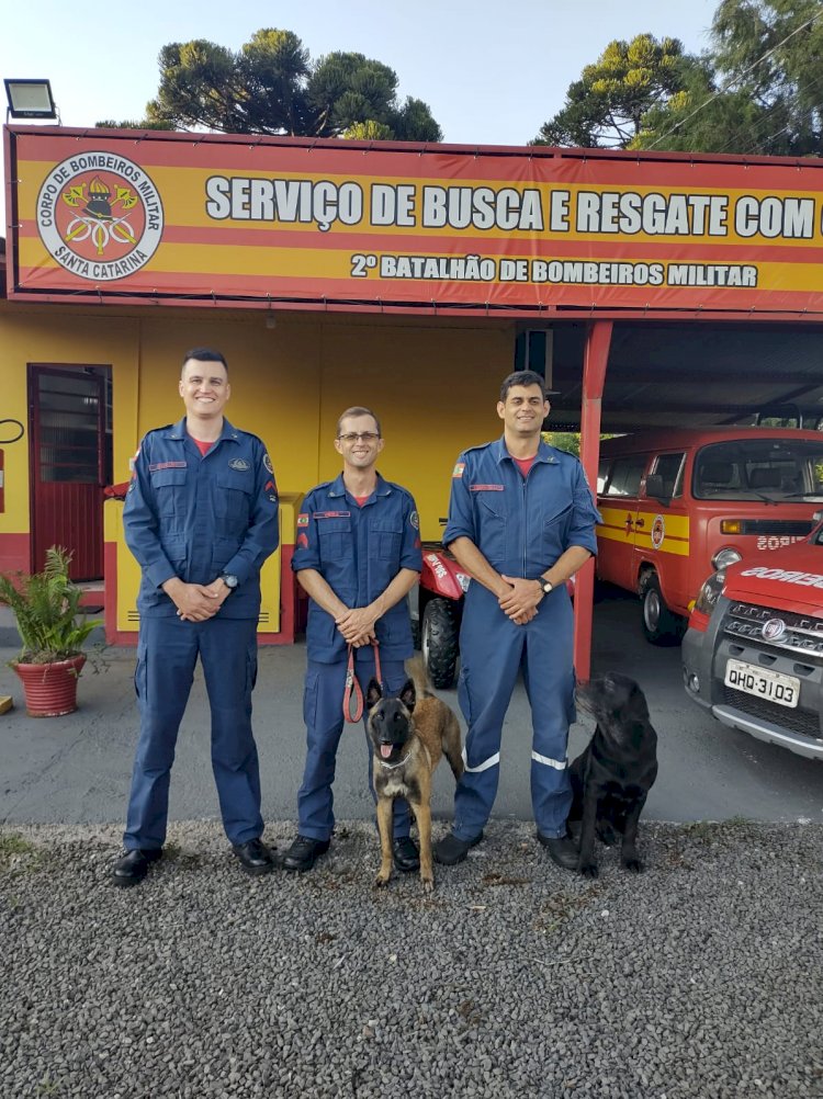 CORPO DE BOMBEIROS DE SC FAZ TREINAMENTO COM CÃES DE BUSCA EM CURITIBANOS