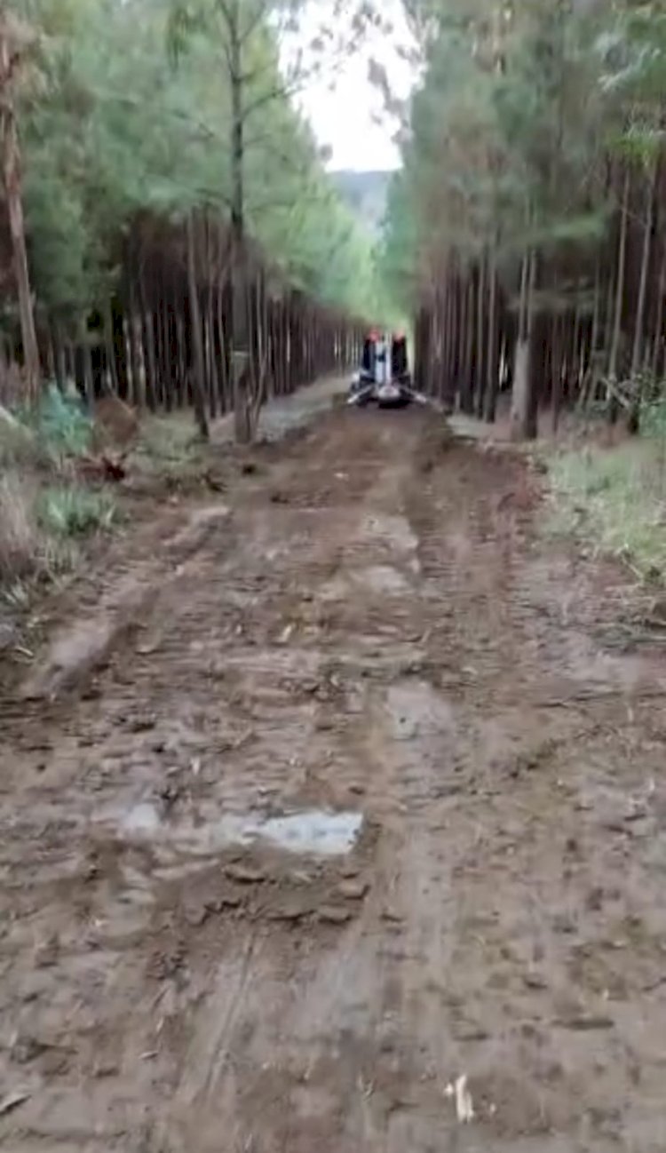 CRIADO ESTRADA EMERGENCIAL PARA DESVIO DE TRECHO INTERDITADO NA ESTRADA DA LINHA COMUM 2