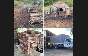 POLÍCIA AMBIENTAL FLAGRA CRIME AMBIENTAL NO MUNICÍPIO DE LEBON RÉGIS