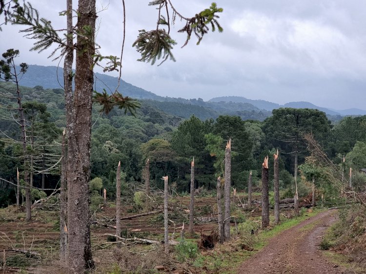 POSSÍVEL TORNADO ATINGE AS COMUNIDADES DO INTERIOR DE SANTA CECÍLIA