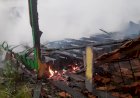 LEBON RÉGIS: INCÊNDIO DESTRÓI RESIDÊNCIA NA LOCALIDADE DE RIO DO TIGRE