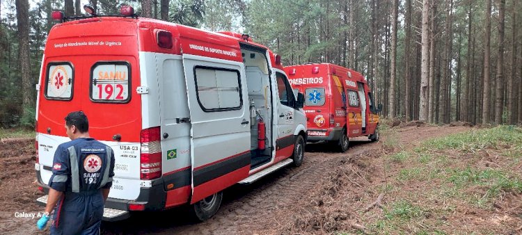 TRABALHADOR É ATINGIDO POR PINUS DURANTE O CORTE DA ÁRVORE