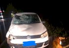 VEÍCULO COLIDE CONTRA VACA NA SC-350 ENTRE LEBON RÉGIS E SANTA CECÍLIA
