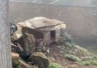 MULHER É PRESA POR MAUS TRATOS A CACHORROS EM CAÇADOR