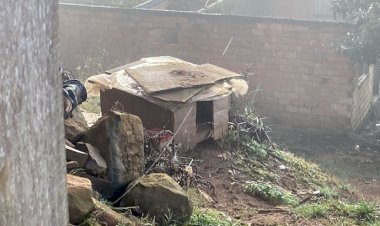 MULHER É PRESA POR MAUS TRATOS A CACHORROS EM CAÇADOR