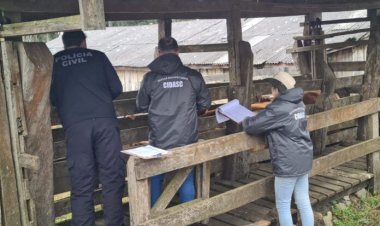 POLÍCIA CIVIL E CIDASC DE CURITIBANOS LOCALIZAM BOVINOS FURTADOS
