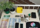 DUPLA É PRESA ACUSADA DE TRÁFICO;  EM UM VEÍCULO ELES TRANSPORTAVAM PÉS DE MACONHA, SEMENTES DA ERVA, E DROGA FRACIONADA SUPOSTAMENTE PARA VENDA