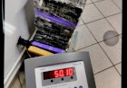 POLÍCIA RODOVIÁRIA APREENDE 50 QUILOS DE MACONHA TRANSPORTADAS EM VEÍCULO
