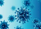 NOVA EPIDEMIA VINDO DA CHINA: O META PNEUMOVÍRUS. CIENTISTAS DIZEM QUE PODE SER TÃO CONTAGIOSO COMO O CORONAVIRUS