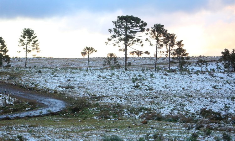 POSSIBILIDADE DE NEVE EM SANTA CATARINA É MANTIDA PELA DEFESA CIVIL ENTRE HOJE 28/05 E AMANHÀ 29/05
