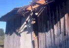 RAIO ATINGE CASA E ÁRVORE NO INTERIOR DE LEBON RÉGIS